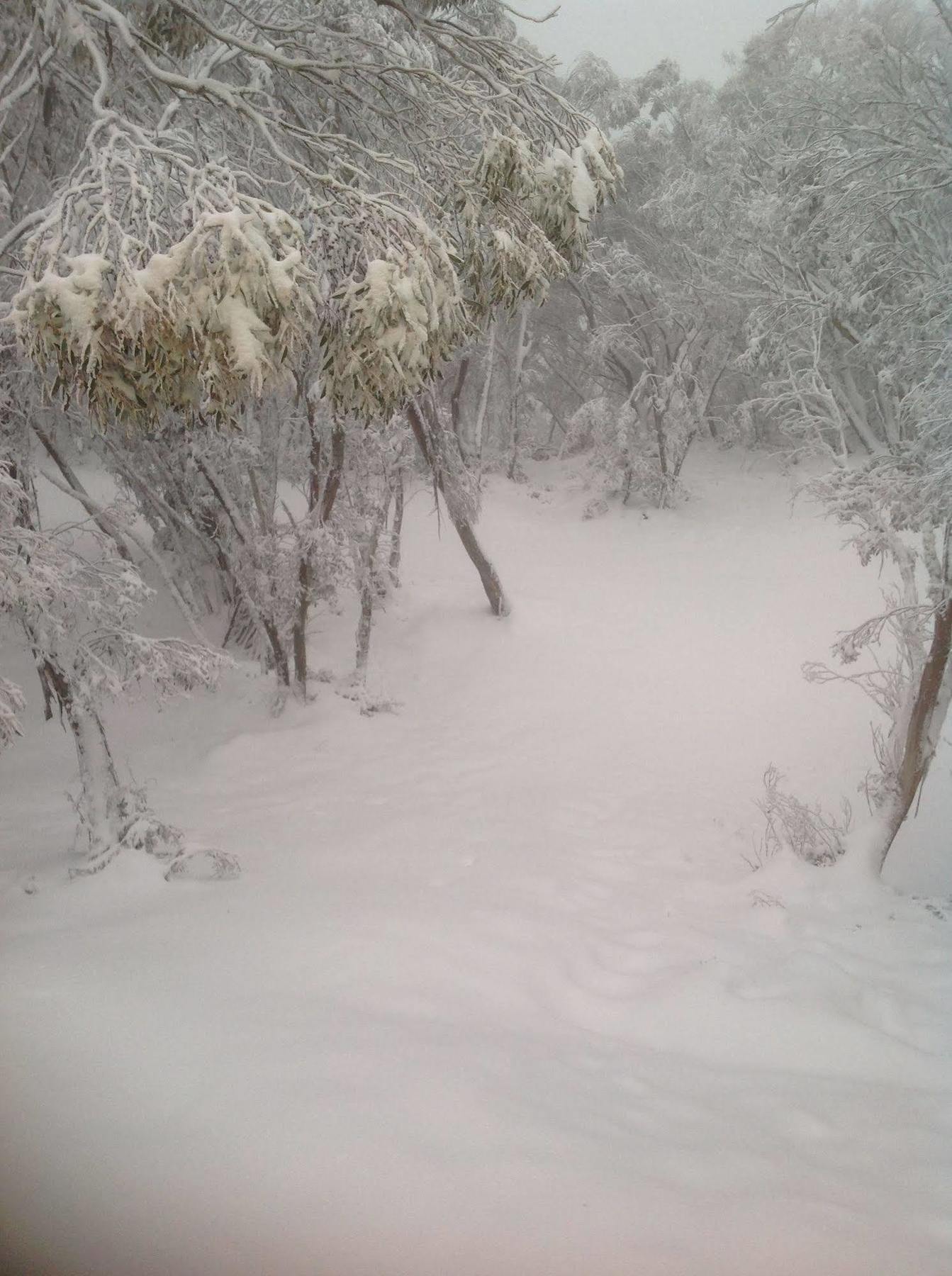 Terama Ski Lodge Mount Buller Luaran gambar